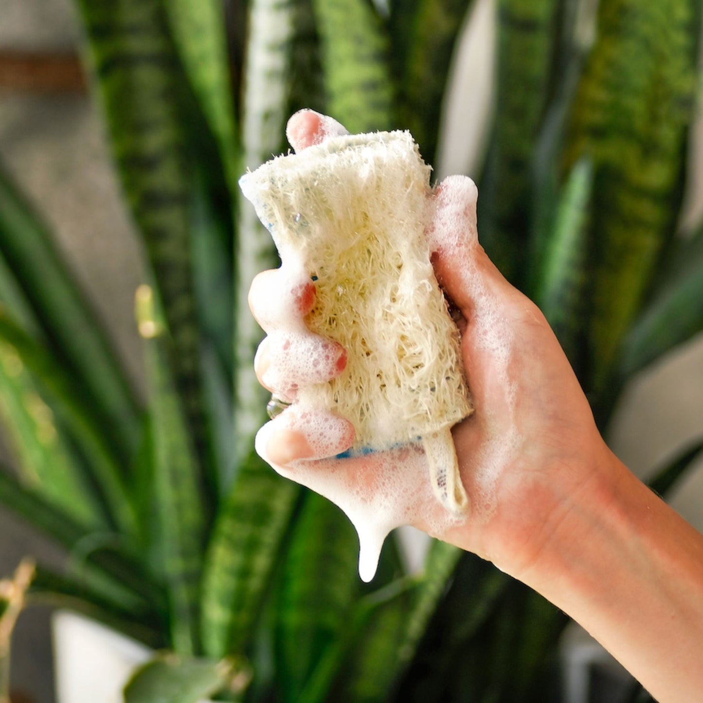 Hand shows the side of the kitchen scrubber with the 100% natural loofah.