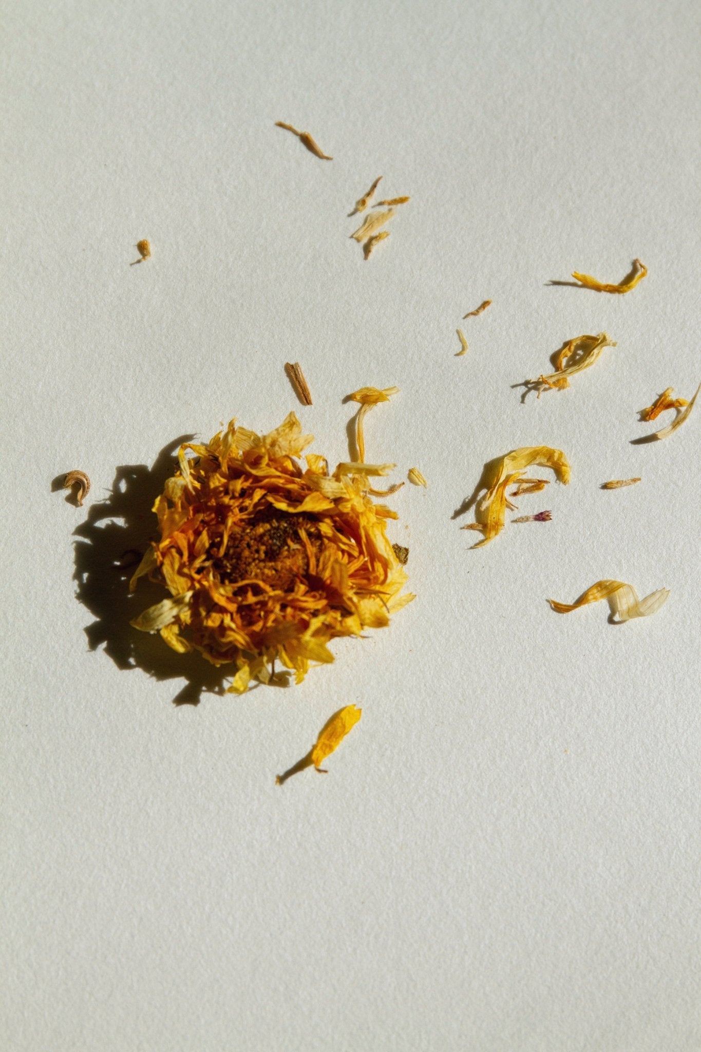 SEELE – Ritual Sea Salt Scrub | Celtic Salt®, Choya Nākh, Sage & Coriander