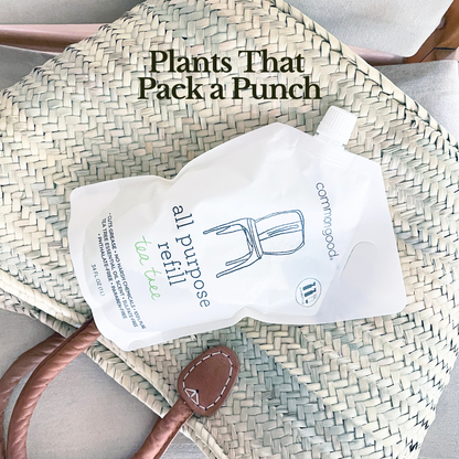 All Purpose Cleaner Refill Pouch, 34 Fl Oz