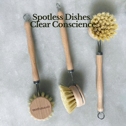 Dish Brush