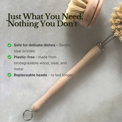 Dish Brush