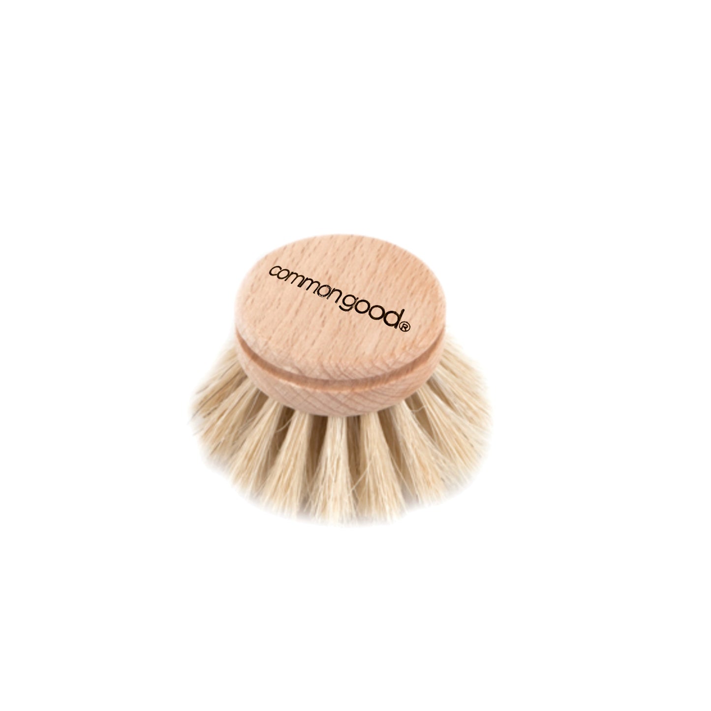 Dish Brush