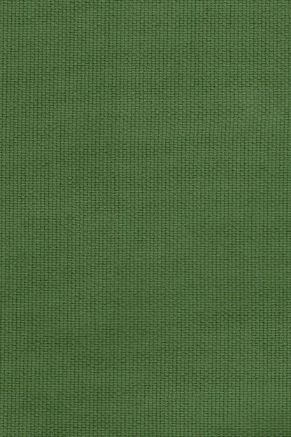 Cinema Pants in Leaf Green