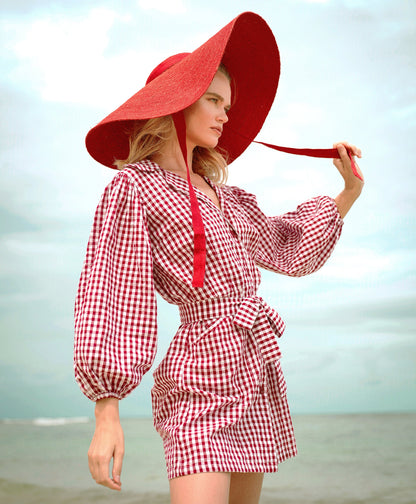 MEGHAN Mini Gingham Dress, in Red